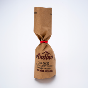 Andino